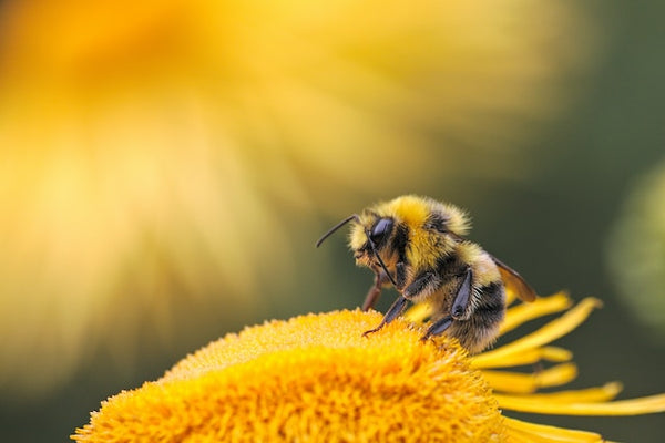 Gutes tun ohne Verzicht: Wie du einen positiven Einfluss auf Natur, Freunde und Familie haben kannst