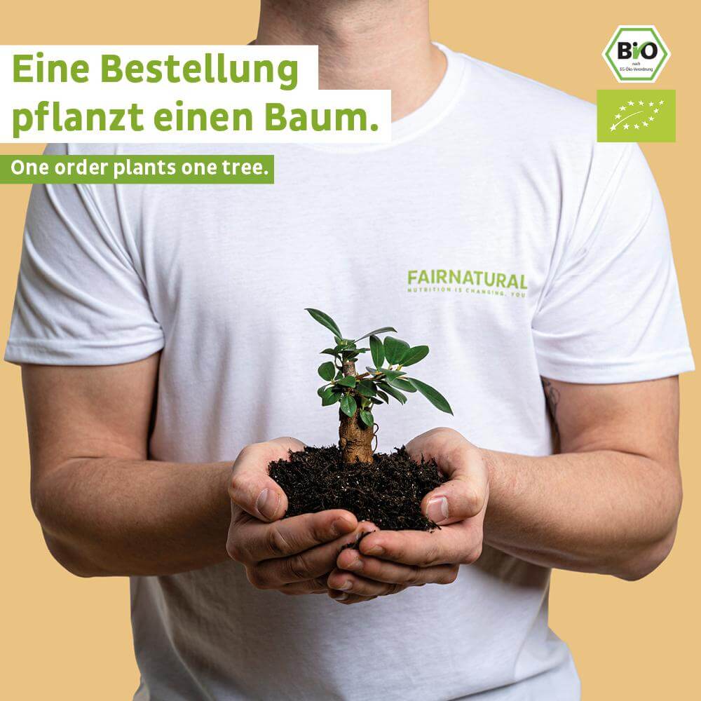 Bio Fokus Mushroom Kakao Pulver
